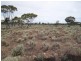 Lot 26/ McKay Road, Blanchetown SA 5357