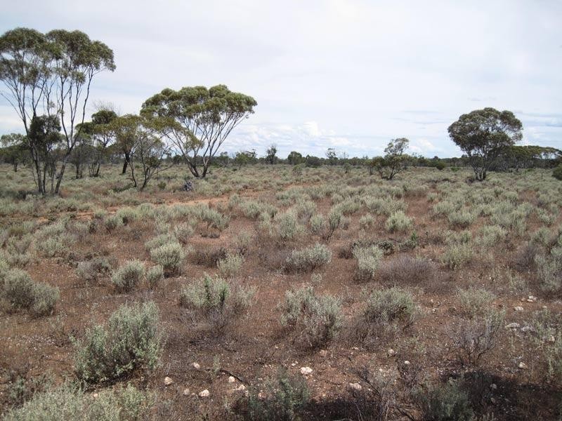 Lot 26/ McKay Road, Blanchetown SA 5357