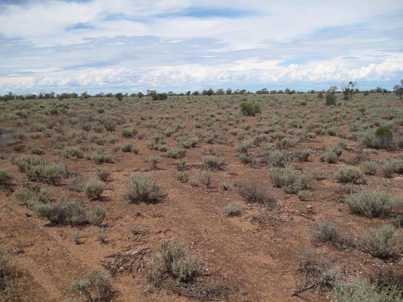 Lot 26/ McKay Road, Blanchetown SA 5357