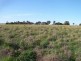 Lot 27 Cedar Ridge, Naracoorte SA 5271