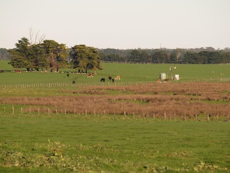 MOYHALL ROAD, Naracoorte SA 5271