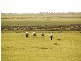 MOYHALL ROAD, Naracoorte SA 5271
