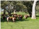 Strathdownie VIC 3312