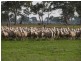 Strathdownie VIC 3312