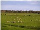 Strathdownie VIC 3312
