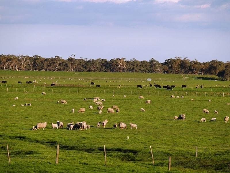 Strathdownie VIC 3312