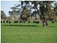 Strathdownie VIC 3312