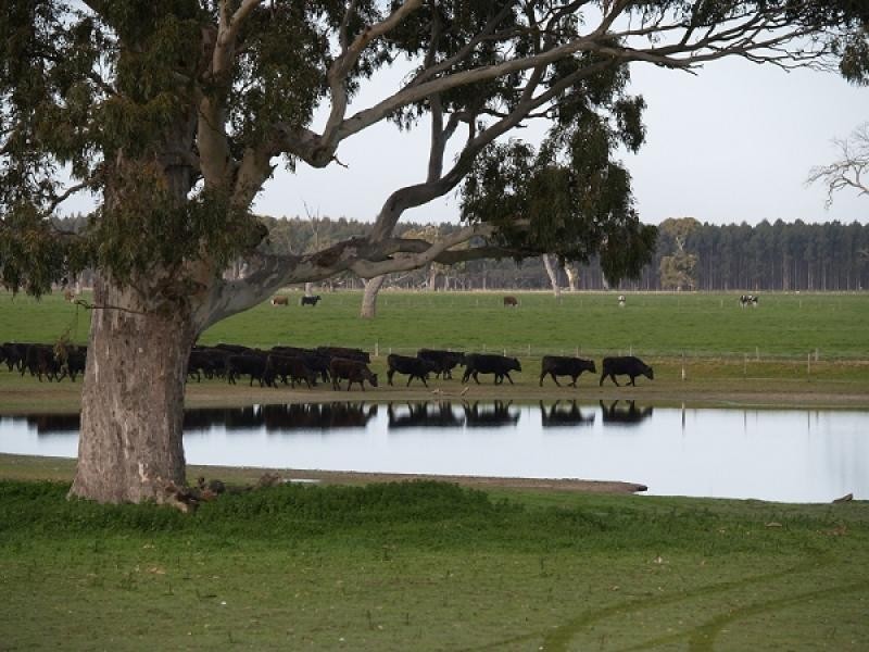 Strathdownie VIC 3312