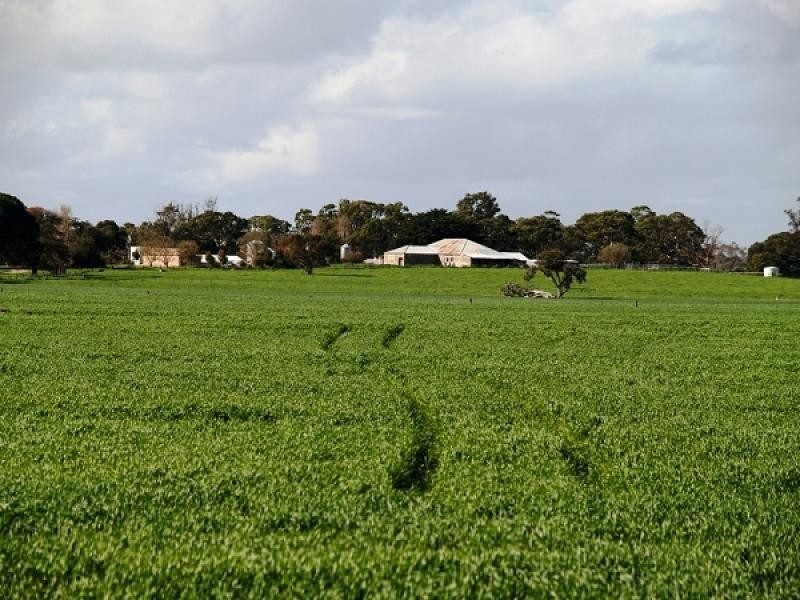 Lucindale SA 5272