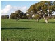 Lucindale SA 5272