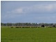 Lucindale SA 5272