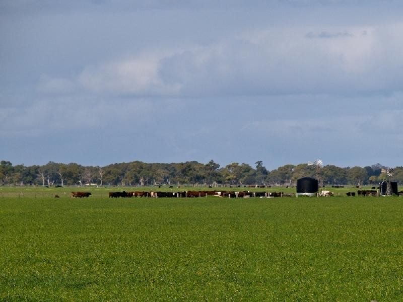 Lucindale SA 5272