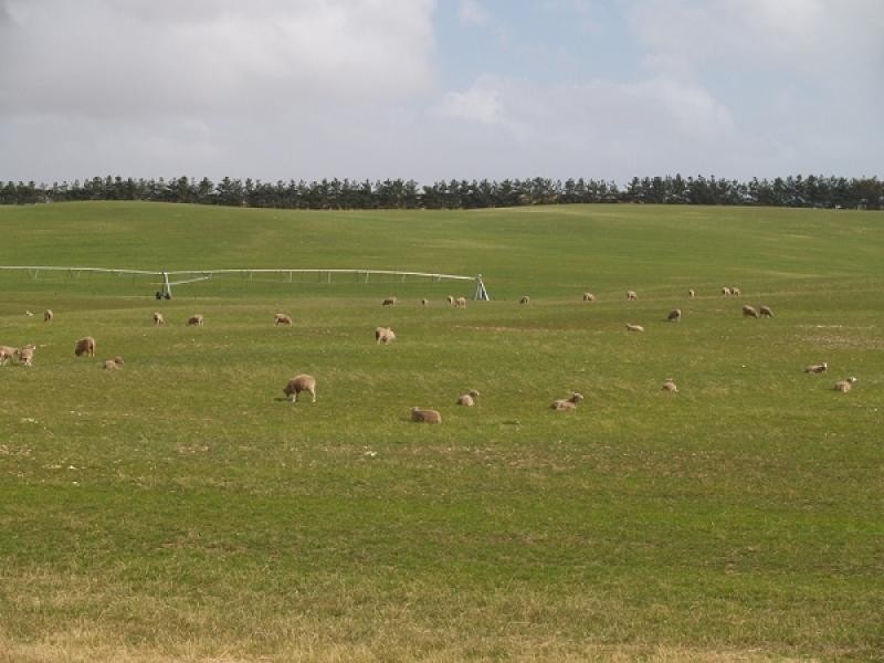 Mount Benson SA 5275