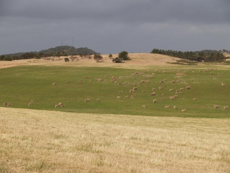 Mount Benson SA 5275