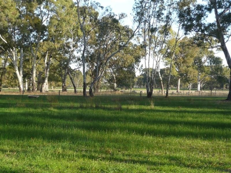 Lots 62 – 66 Wimmera Highway, Hynam SA 5262