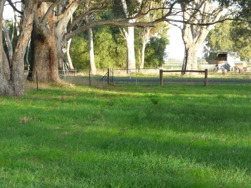 Lots 62 – 66 Wimmera Highway, Hynam SA 5262