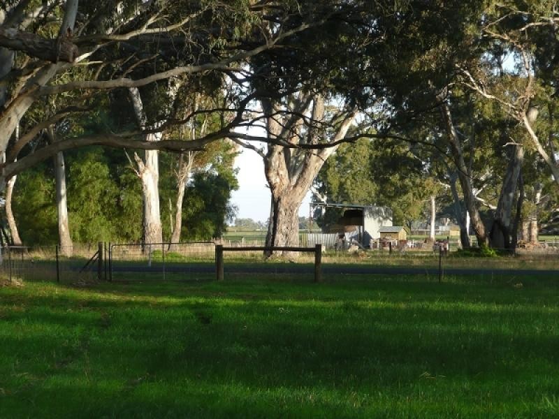 Lots 62 – 66 Wimmera Highway, Hynam SA 5262