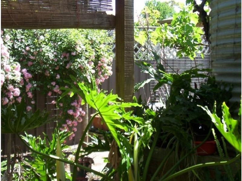 32 Pinkerton Road, Naracoorte SA 5271