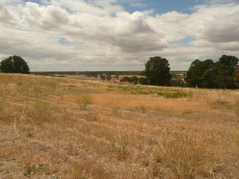 Lot 22 Blackwell Road, Naracoorte SA 5271
