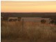 Lot 22 Blackwell Road, Naracoorte SA 5271
