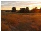 Lot 22 Blackwell Road, Naracoorte SA 5271