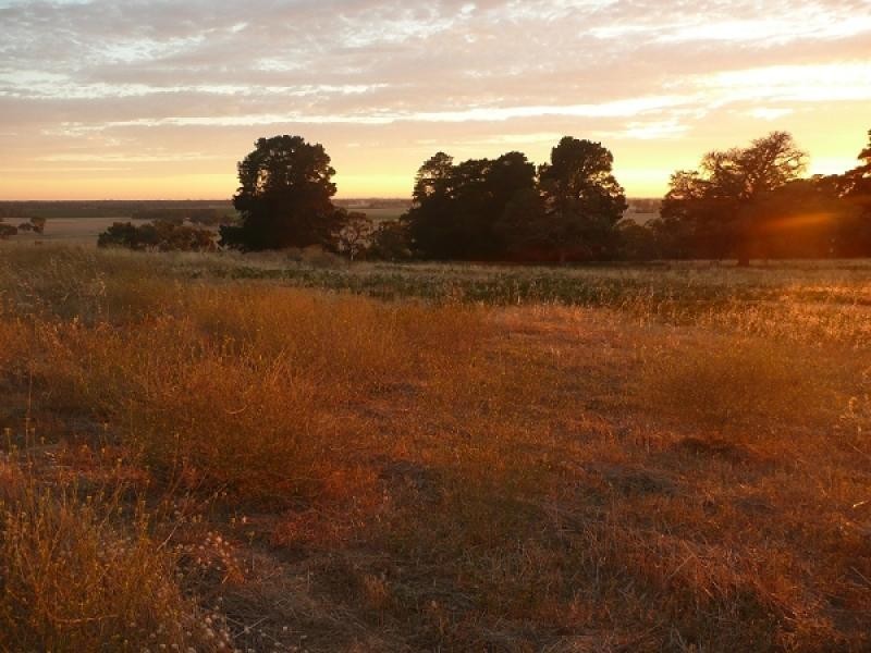 Lot 22 Blackwell Road, Naracoorte SA 5271
