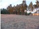 Lot 22 Blackwell Road, Naracoorte SA 5271