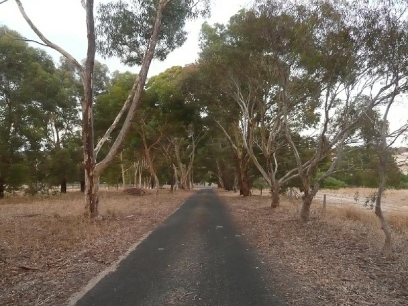 Lot 22 Blackwell Road, Naracoorte SA 5271