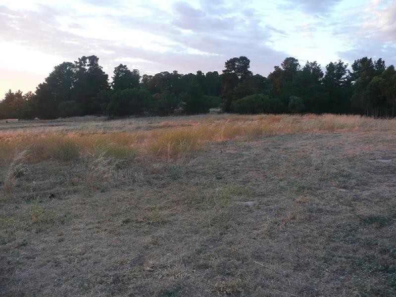 Lot 22 Blackwell Road, Naracoorte SA 5271