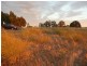 Lot 22 Blackwell Road, Naracoorte SA 5271