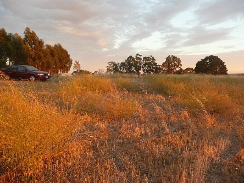 Lot 22 Blackwell Road, Naracoorte SA 5271
