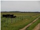 Kingston Se SA 5275