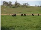 Kingston Se SA 5275