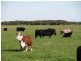 Kingston Se SA 5275