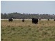 Kingston Se SA 5275