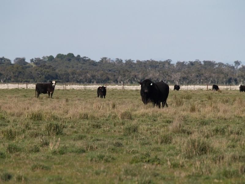 Kingston Se SA 5275