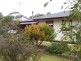 1 Watson Avenue, Lucindale SA 5272