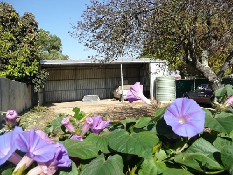 133 Jenkins Terrace, Naracoorte SA 5271