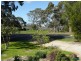 1 Watson Avenue, Lucindale SA 5272