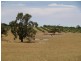 Lot 1002 Bordertown Road, Naracoorte SA 5271