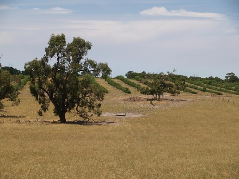 Lot 1002 Bordertown Road, Naracoorte SA 5271