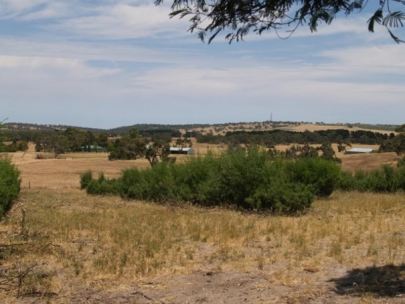 Lot 1002 Bordertown Road, Naracoorte SA 5271