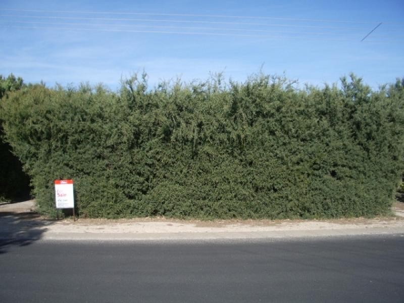 39 Laurel Terrace, Robe SA 5276