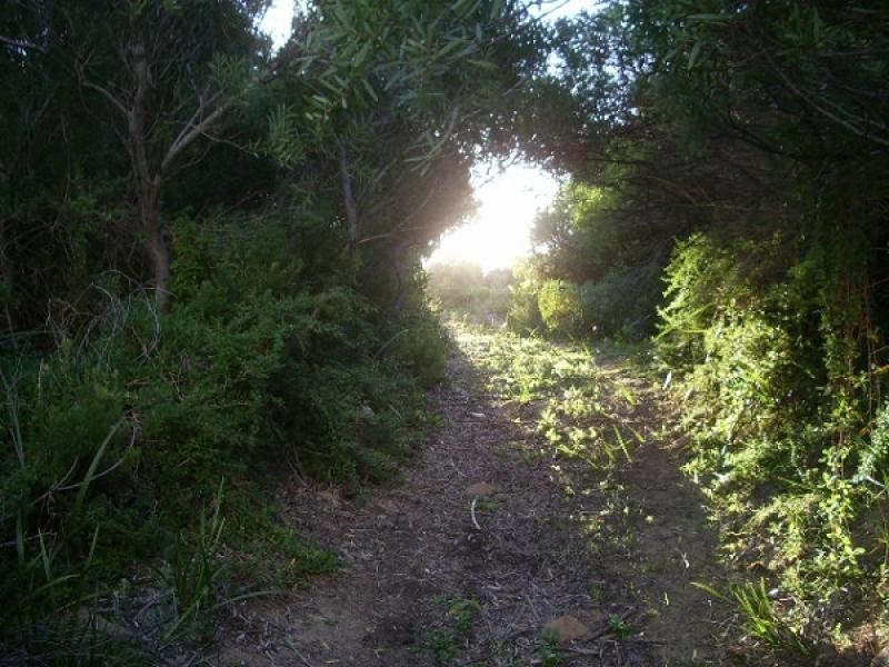 Lot 92 Sunland Road, Nora Creina SA 5276