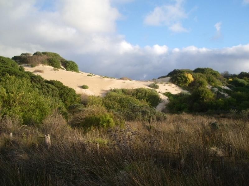 Lot 92 Sunland Road, Nora Creina SA 5276