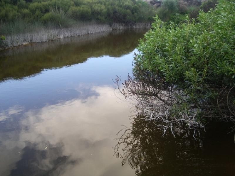 Lot 92 Sunland Road, Nora Creina SA 5276