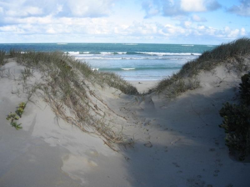 Lot 92 Sunland Road, Nora Creina SA 5276