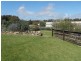Lot 103 Nora Creina Road, Robe SA 5276