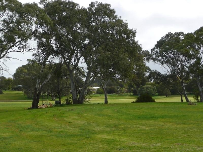 16 Caves Road, Naracoorte SA 5271