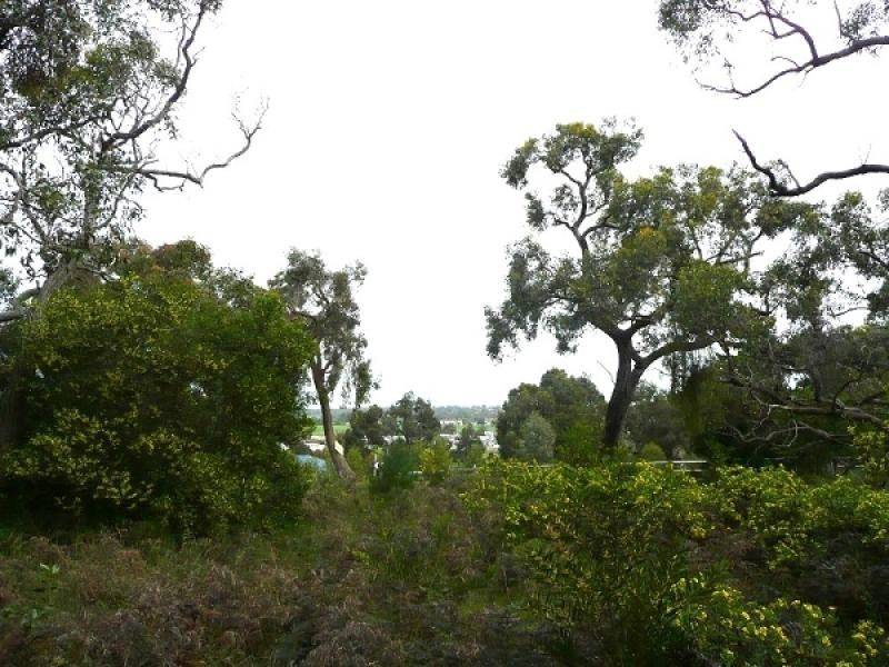 Lot 3 Mason Road, Naracoorte SA 5271